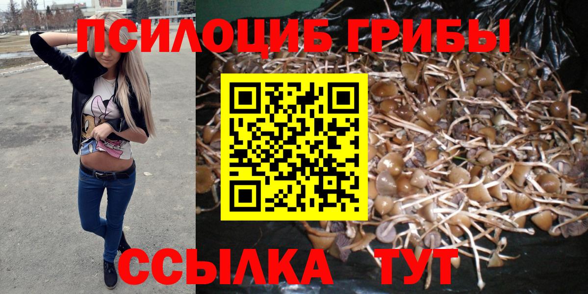 Зеленодольск  Псилоцибиновые грибы ЛСД  Вход с VPN 